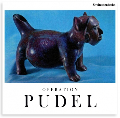 http://www.thomas-baldischwyler.com/files/gimgs/th-33_Operation_Pudel_2010_k.jpg