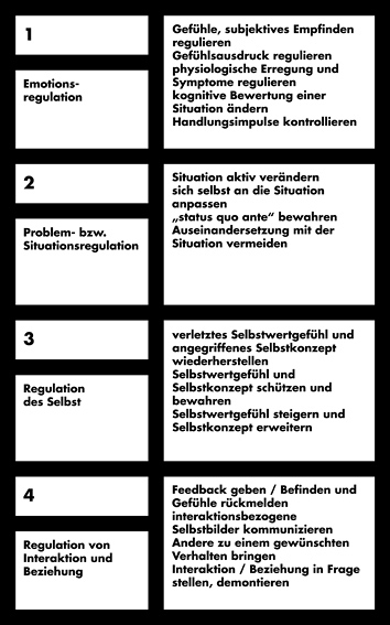 http://www.thomas-baldischwyler.com/files/gimgs/th-51_10_Meter_Emotionsregulation.jpg