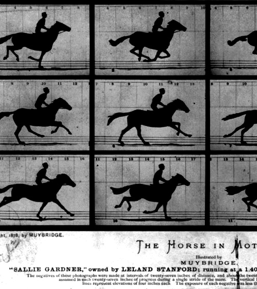 http://www.thomas-baldischwyler.com/files/gimgs/th-51_TB_WEB_Horses_In_Motion.jpg